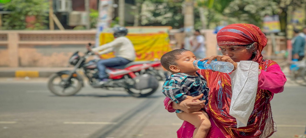 শহরে গরমের তীব্রতা: গাছ কম, সমস্যা বেশি