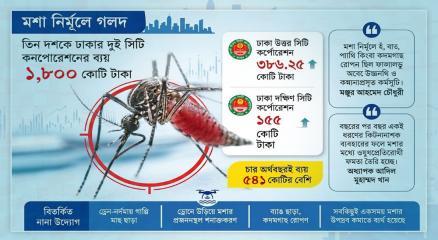 চার বছরে মশকনিধনে দুই সিটির ব্যয় ৫৪১ কোটি টাকা